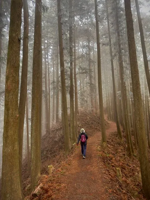 Shinrin-yoku: Waldbaden für die Seele.